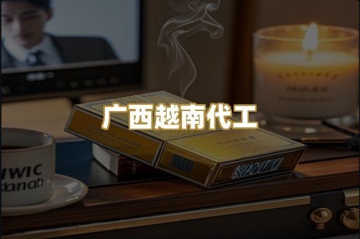 广西越南代工